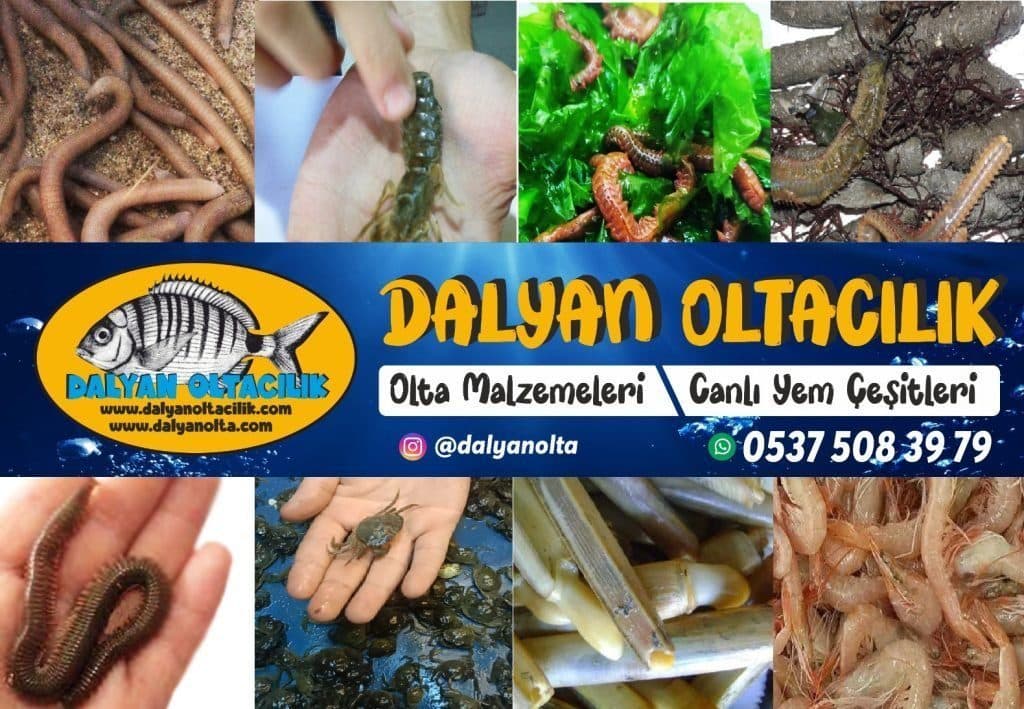 Bibi Yem Fiyatları ve Satın Alma Rehberi (İstanbul – İzmir) Bibi Yem Fiyatları ve Satın Alma Rehberi (İstanbul – İzmir)